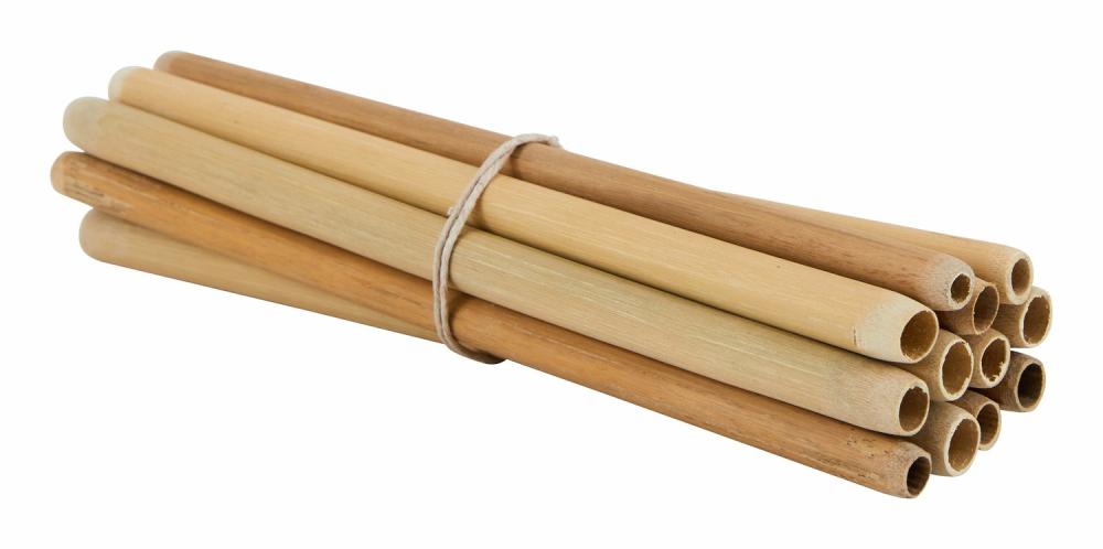 Bamboo Straws  |  Tabletop