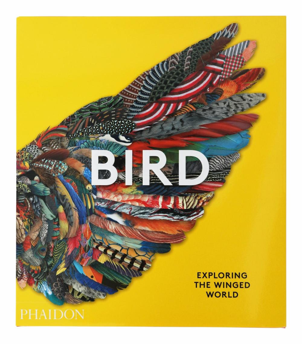 Bird: Exploring The Winged World  |  Books