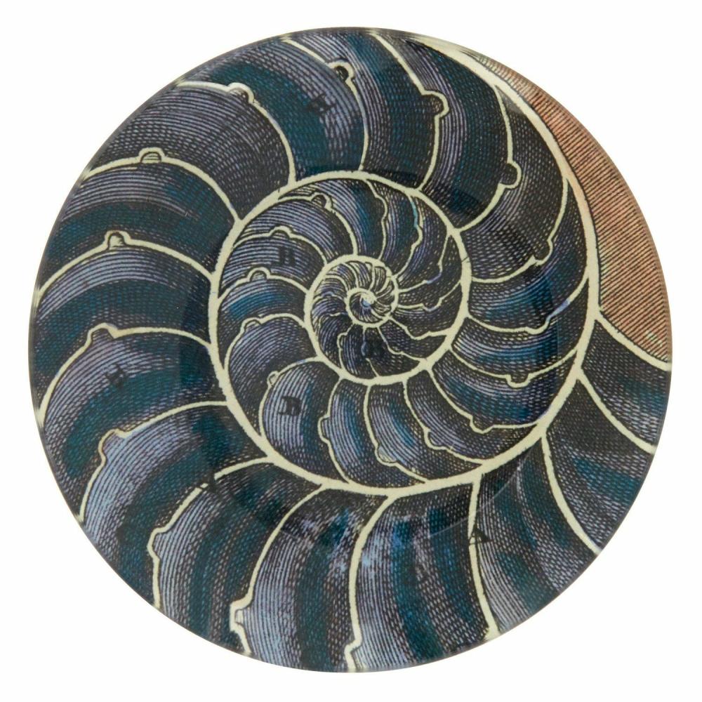 Blue Nautilus Plate  |  Trays