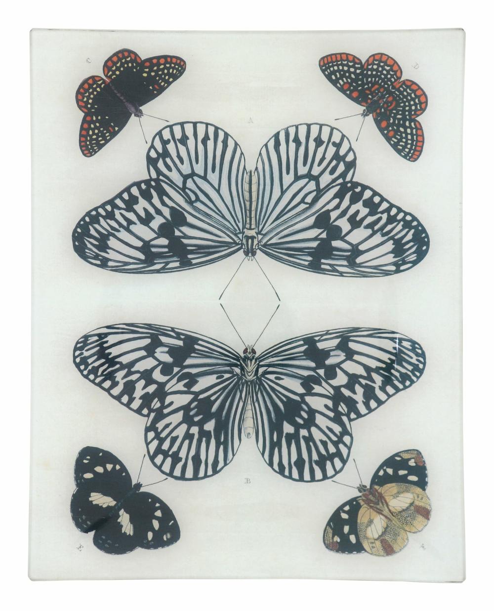 Mirrored Butterfly Tray  |  Tabletop