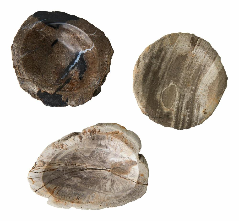 Petrified Wood Bowl  |  Tabletop