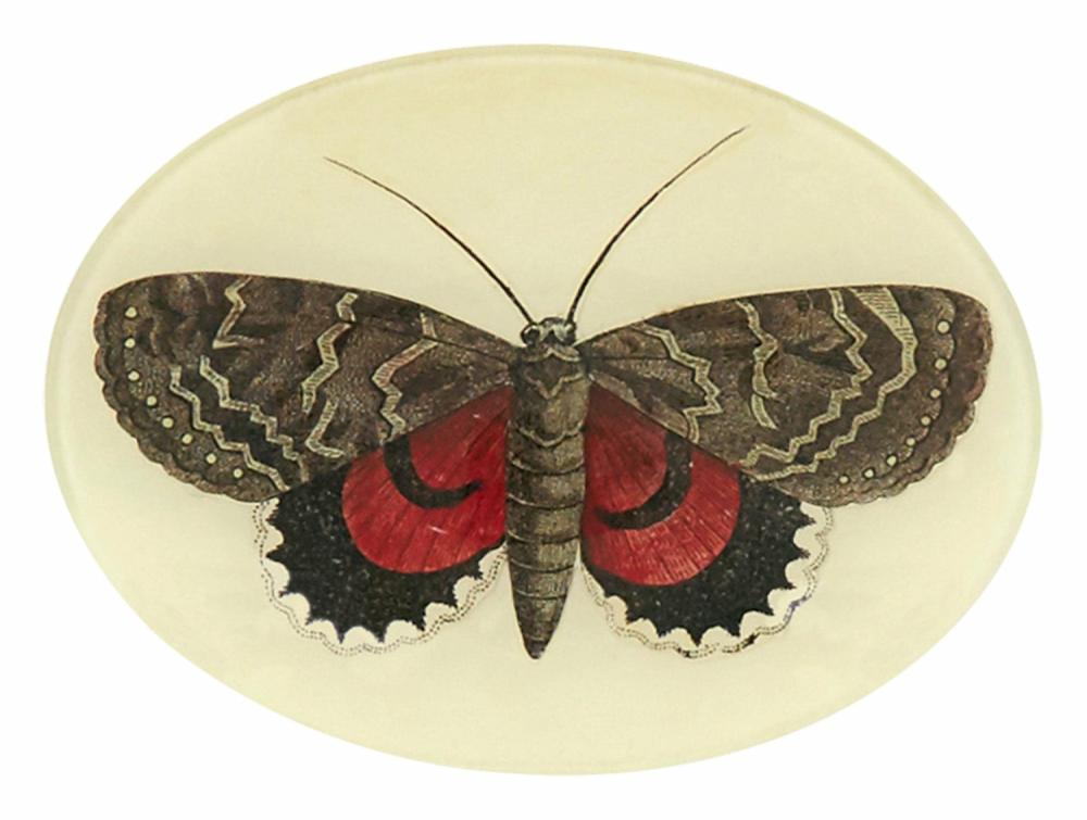 Red And Brown Butterfly Oval Tray  |  Trays