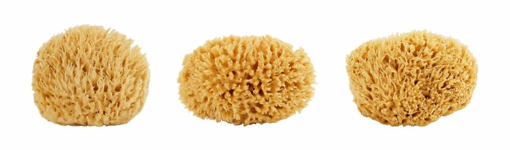 Sea Wool Sponge  |  Candles & Bath