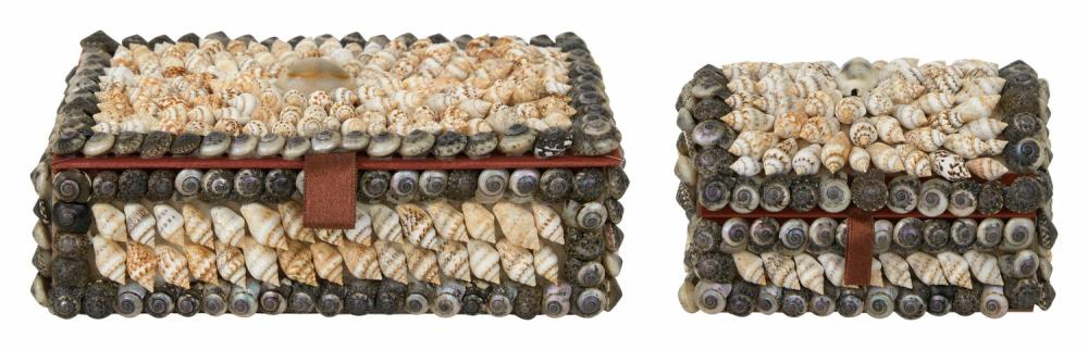 Shell Boxes  |  Homekeeping