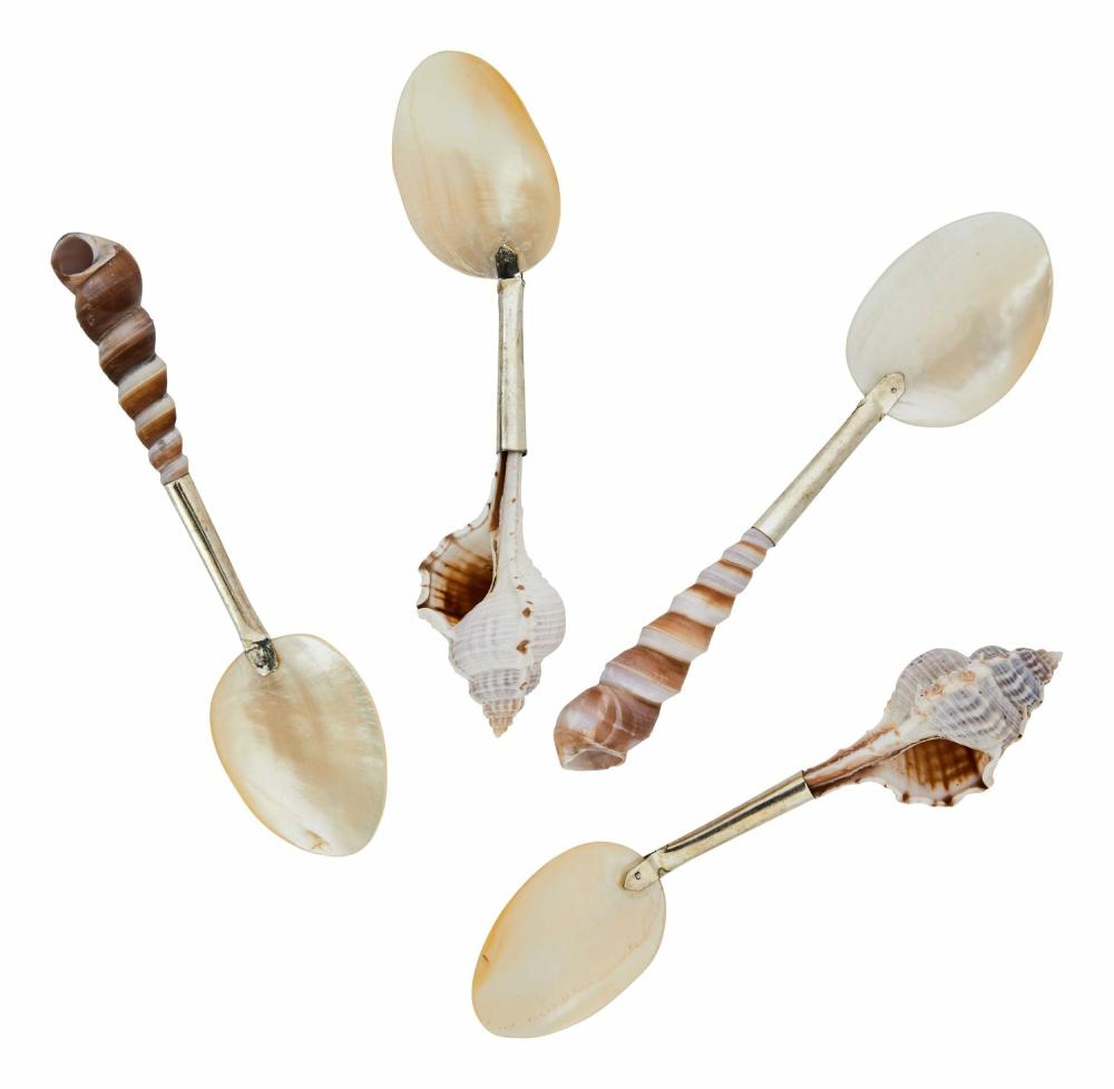 Shell Spoons  |  Tabletop